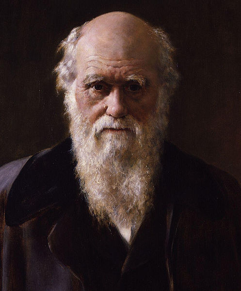 Čarlzo Darvino portretas